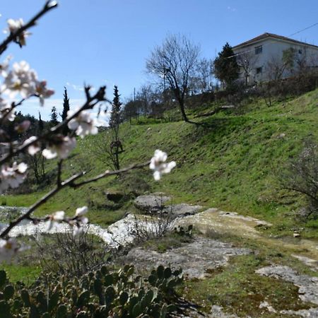 Ardani Oasis Of Calmnessε 빌라 외부 사진