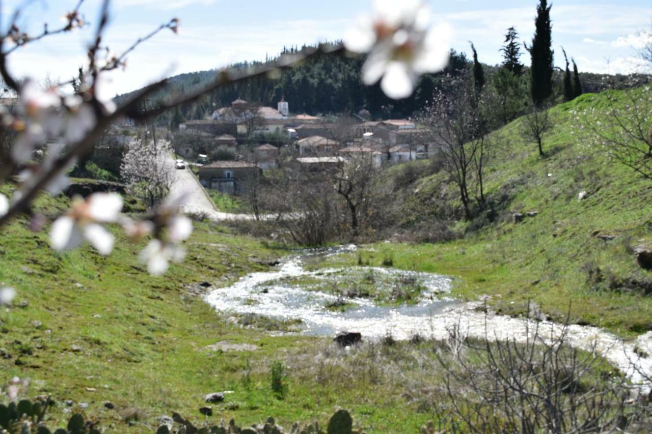 Ardani Oasis Of Calmnessε 빌라 외부 사진