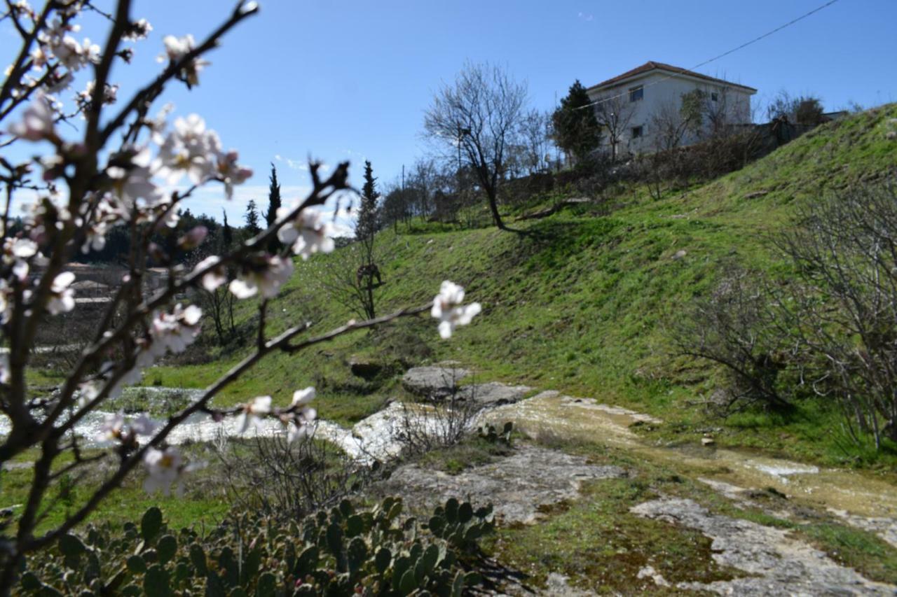 Ardani Oasis Of Calmnessε 빌라 외부 사진