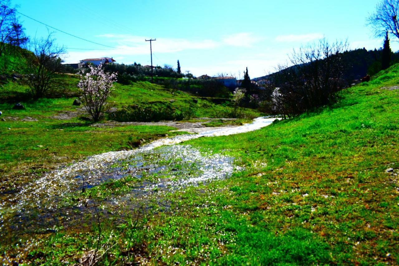 Ardani Oasis Of Calmnessε 빌라 외부 사진